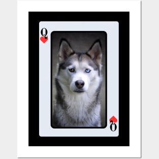 Siberian Husky Posters and Art